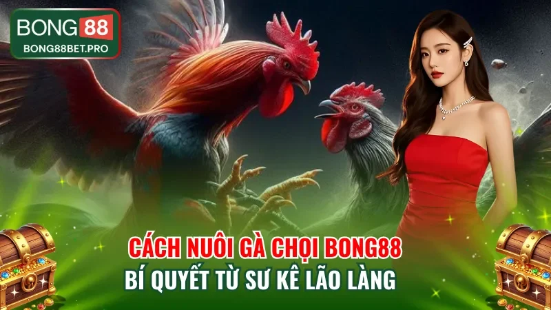 Cách Nuôi Gà Chọi