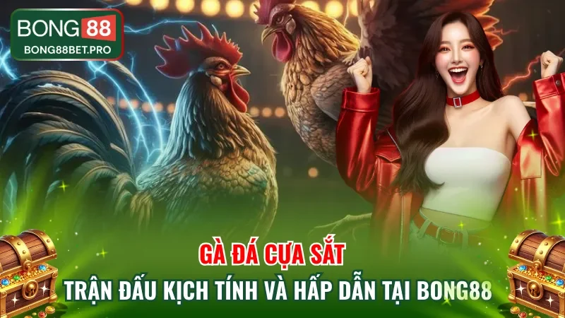Gà Đá Cựa Sắt