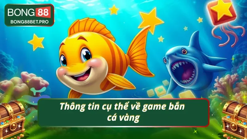 Tìm hiểu về thế giới săn bắt cá đầy màu sắc